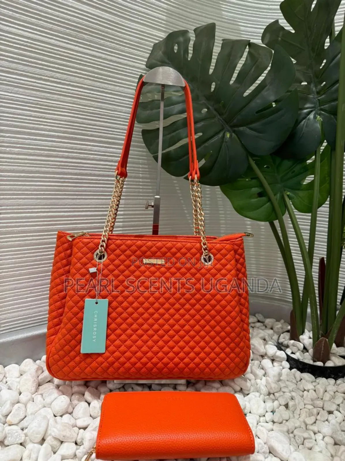 Chris Bella Big Handbags