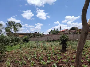Titled Land for Sale