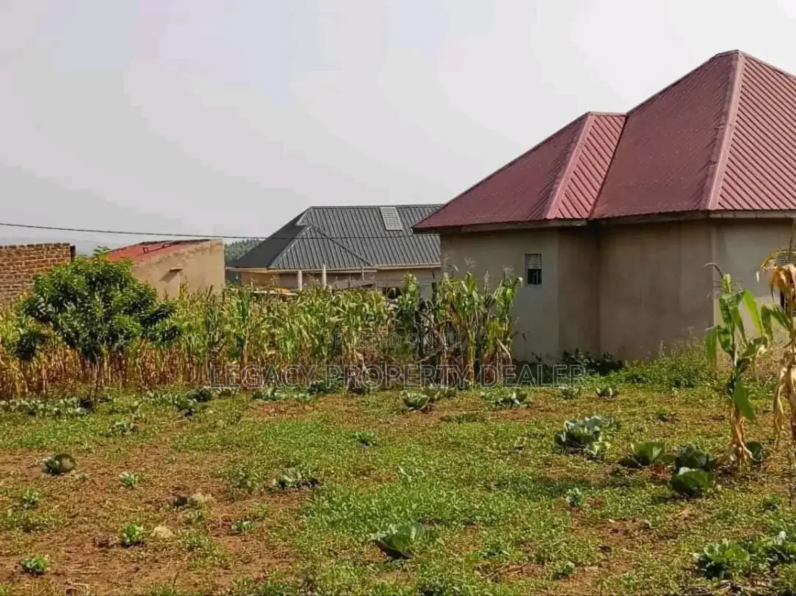 50 X 100 Plot for Sale
