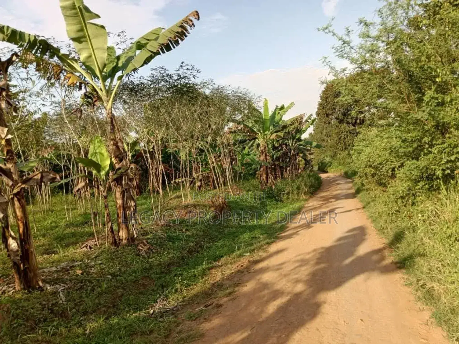 50 X 100 Plot for Sale