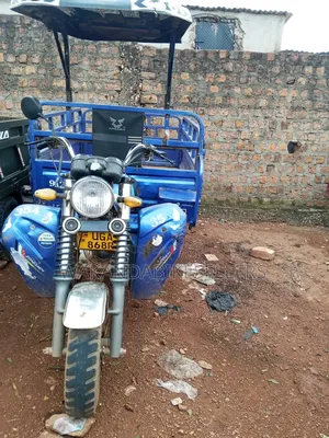 Tricycle 2024 Blue