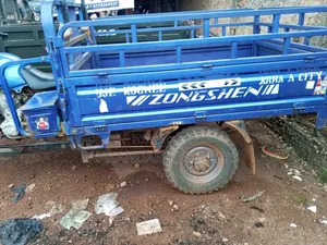 Tricycle 2024 Blue