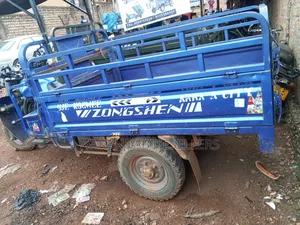 Tricycle 2024 Blue
