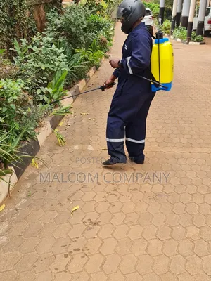 Bedbugs and Cockroaches Fumigation Services