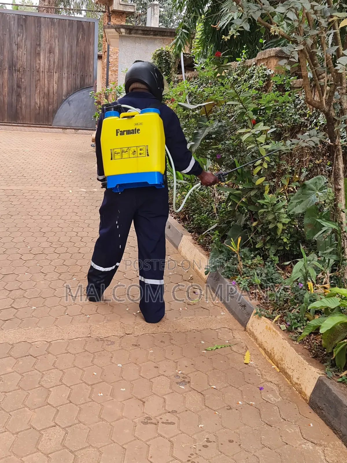 Bedbugs and Cockroaches Fumigation Services