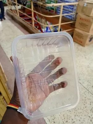 25pcs Clear, Rectangular Plastic Container With Covers