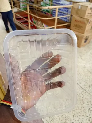 25pcs Clear, Rectangular Plastic Container With Covers