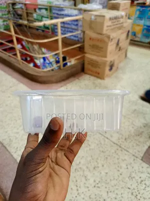 25pcs Clear, Rectangular Plastic Container With Covers
