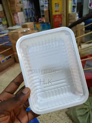 25pcs Disposable Plastic Food Container With Covers