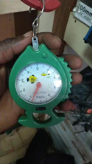 10kg Weighing Portable Numeral Pointer Spring Balance Hanging Scale