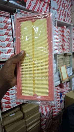 Mercedes Benz Air Filters (Maybach)