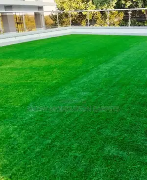 Polythene Grass Carpet