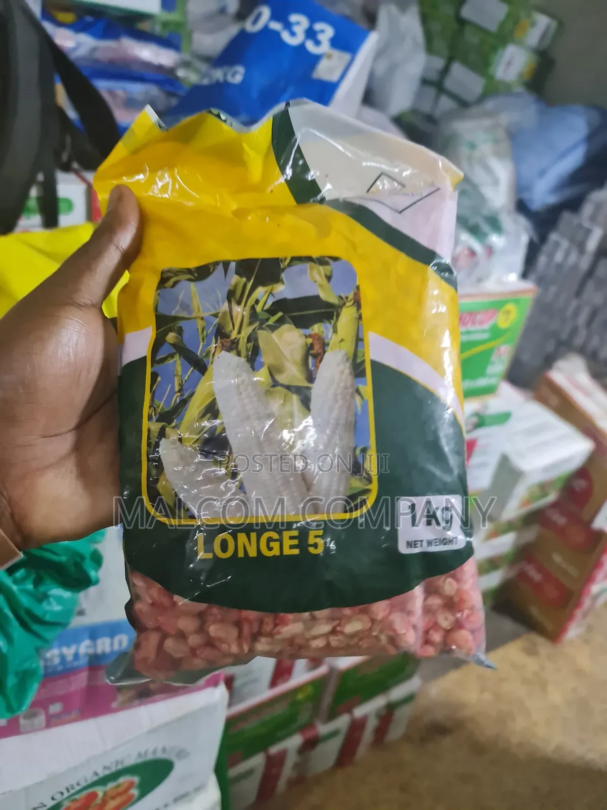 Longe 5 Maize Seeds 1kg
