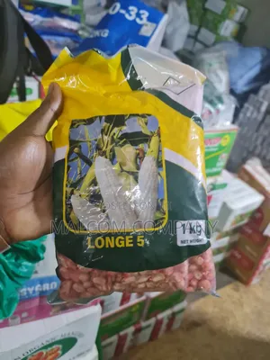 Longe 5 Maize Seeds 1kg