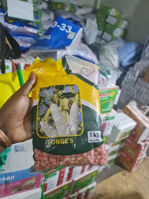 Longe 5 Maize Seeds 1kg