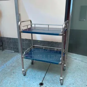 Metallic Trolley Double Shelves