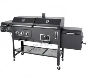 2in1 Gas and Charcoal BBQ Grill