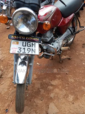 Bajaj Boxer 100 2024 Red