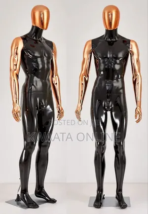 Beautiful Abstract Black Matte Lacquered Male Window Full Mannequin