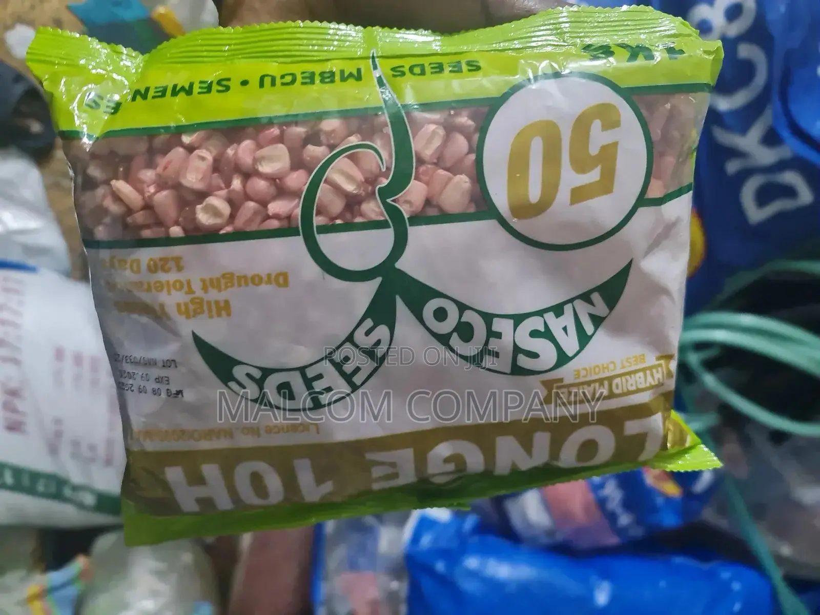 Longe 10h Maize Seeds 1kg