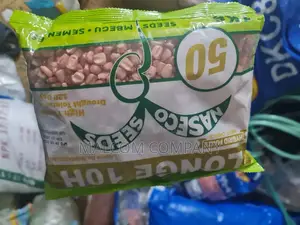 Longe 10h Maize Seeds 1kg