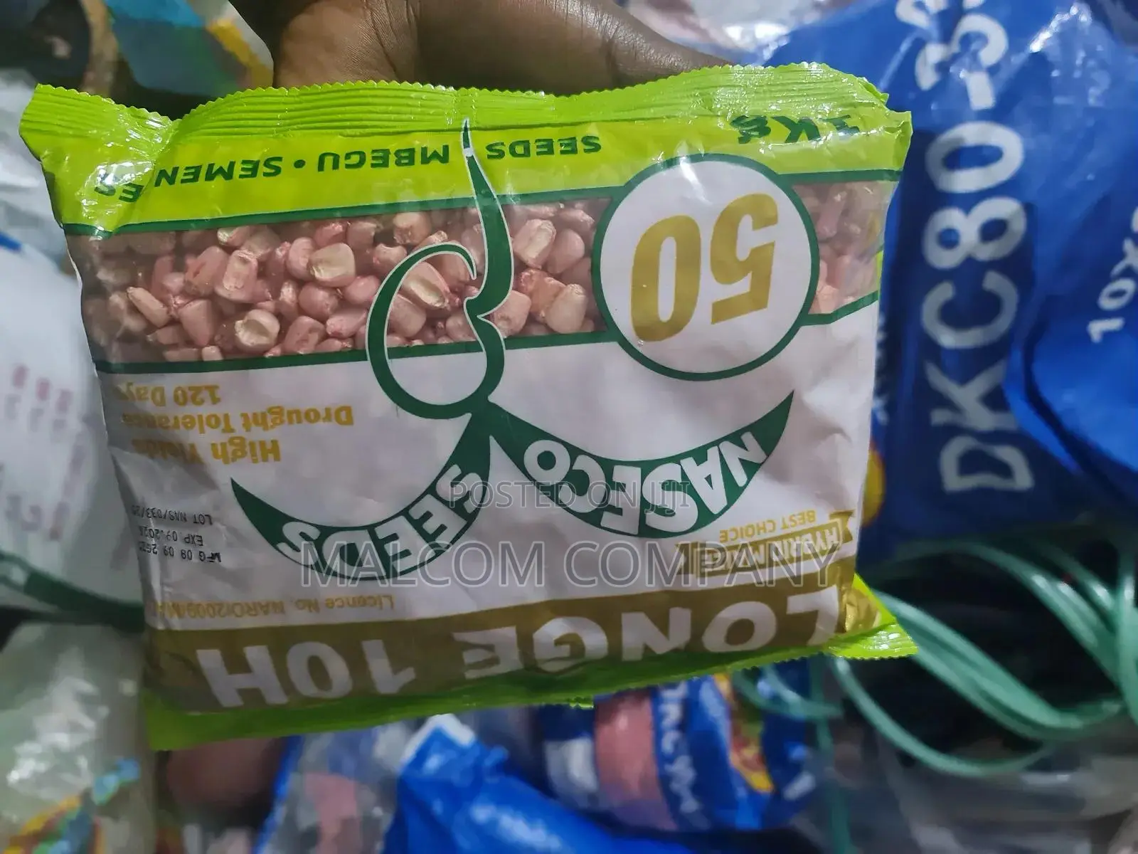 Longe 10h Maize Seeds 1kg
