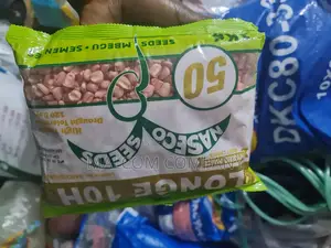 Longe 10h Maize Seeds 1kg