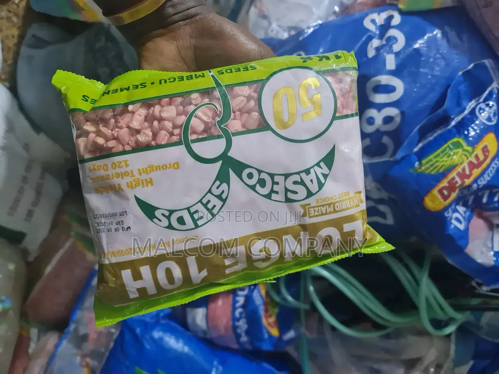 Longe 10h Maize Seeds 1kg