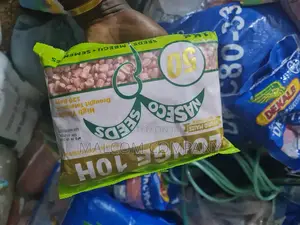 Longe 10h Maize Seeds 1kg