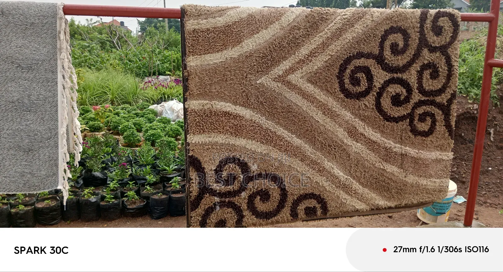 Cleaning Carpets Restoring Homes