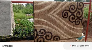 Cleaning Carpets Restoring Homes