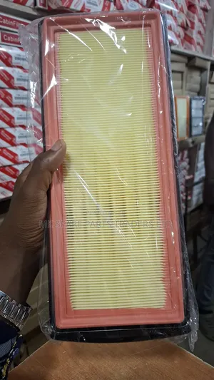 BMW Air Filter