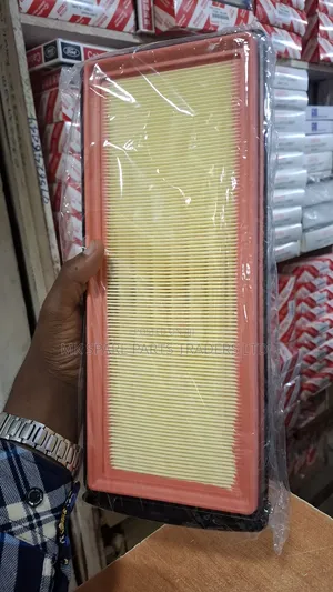 BMW Air Filter