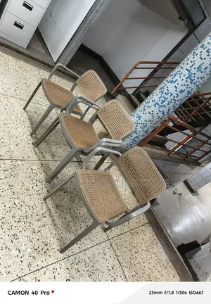 Executive Plastic Chairs Plastic Chairs Indoor/Outdoor