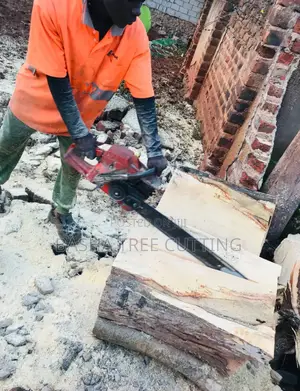 Chopping of Trees