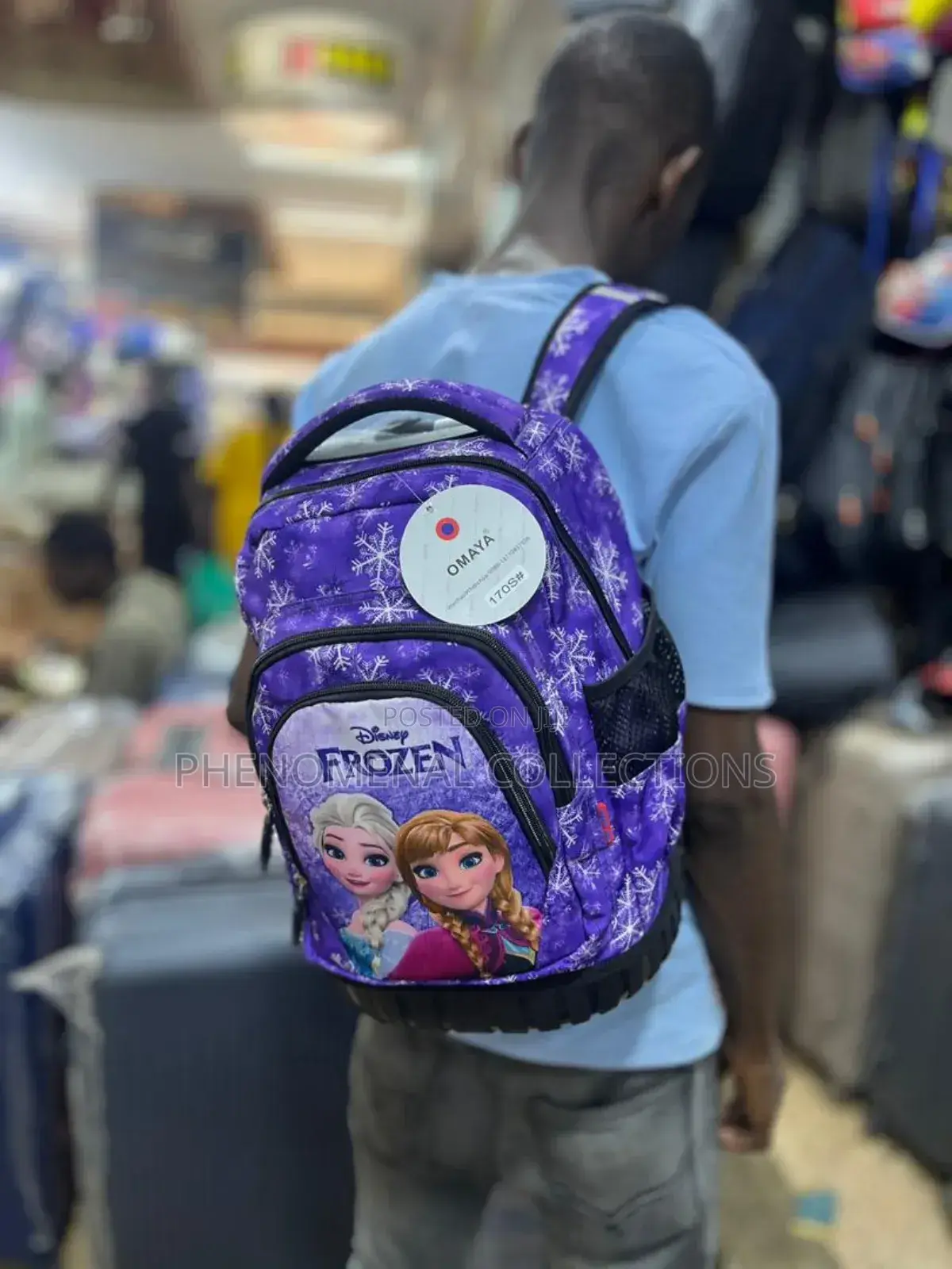 Trolley Bag Set