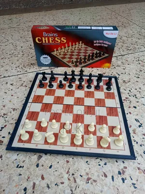Brains Magnetic Chess Set.