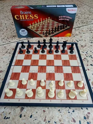 Brains Magnetic Chess Set.