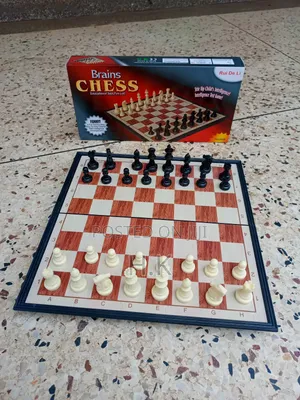 Brains Magnetic Chess Set.