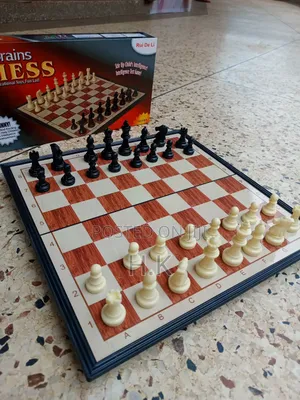 Brains Magnetic Chess Set.