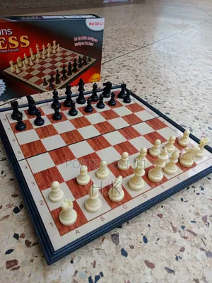 Brains Magnetic Chess Set.