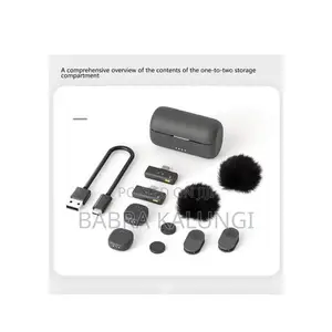 Sx27 Professional Dual Lavalier Wireless Microphone