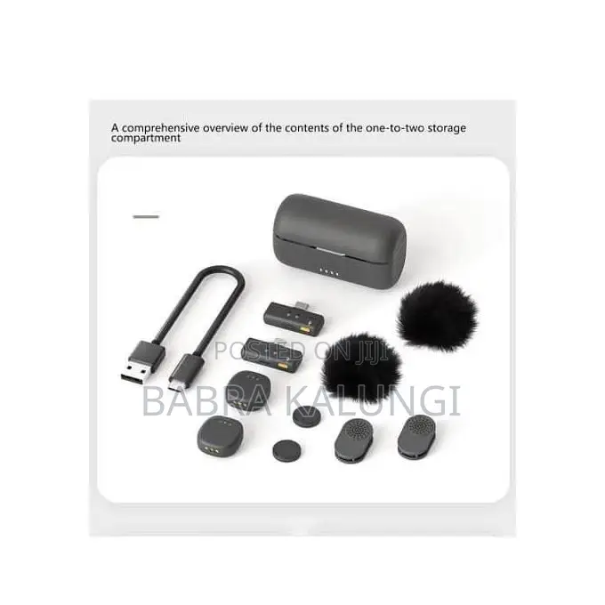 Sx27 Professional Dual Lavalier Wireless Microphone