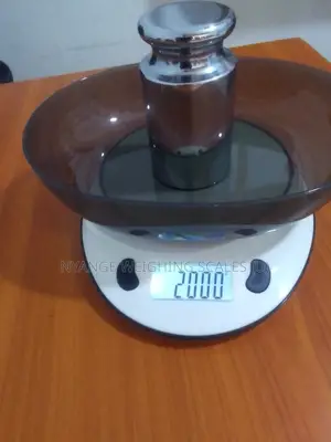 Electronic 10kg Weigh Computing Weighing Scale Portable Weighing Scale