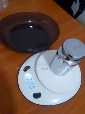 10kg Weigh Kitchen Digital Weighscale S.H-56 Electronic Weighing Scale