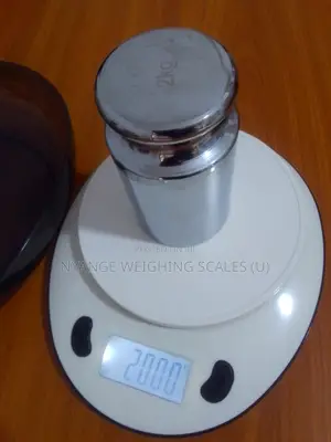 New Arrival Digital Weighing Scale 10kg Weigh Plastic Weighing Scale