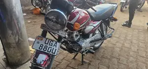 TVS HLX 125 2024 Red