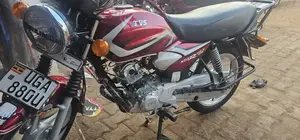 TVS HLX 125 2024 Red
