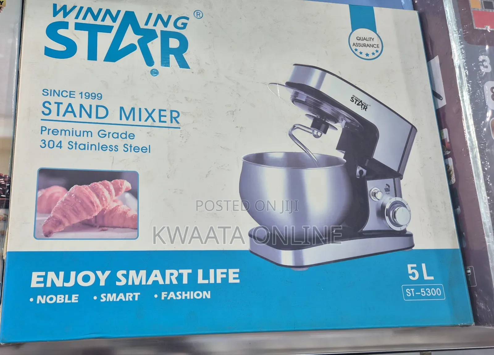 5l Winning Star Stand Mixer 1000w St-5300