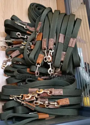 Dog Leashes